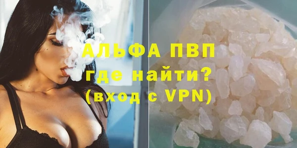 PSILOCYBIN Рославль