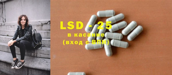 PSILOCYBIN Рославль