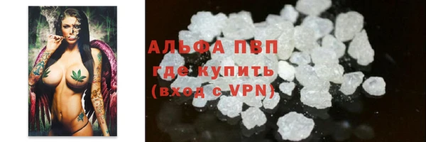 PSILOCYBIN Рославль
