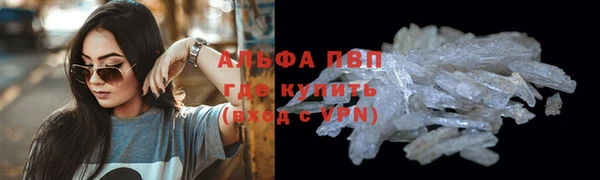 PSILOCYBIN Рославль