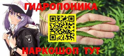 молекула духа Гусиноозёрск
