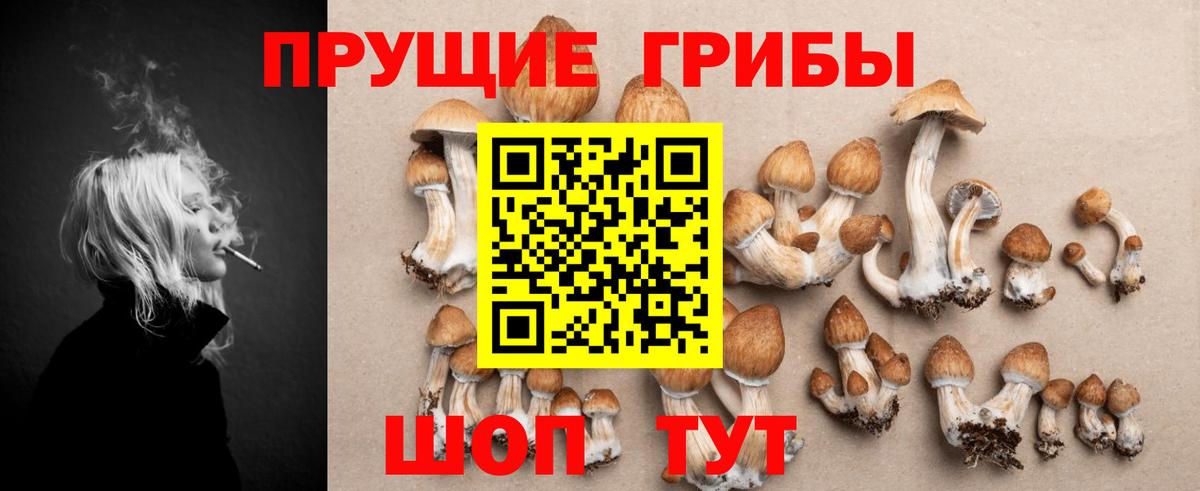 Галлюциногенные грибы прущие грибы Сердобск