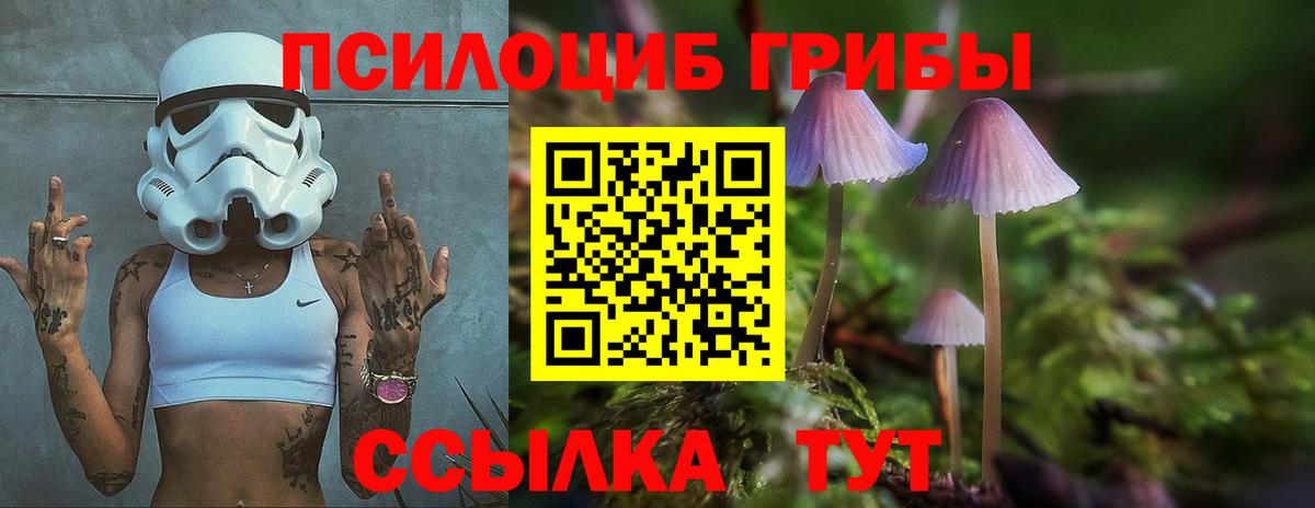 как найти наркотики  Псилоцибиновые грибы прущие грибы  Вход с VPN  Сердобск 