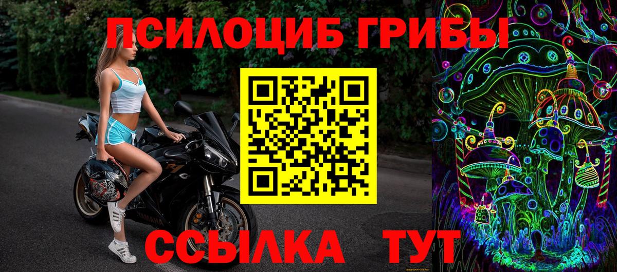 Псилоцибиновые грибы мицелий  Сердобск 