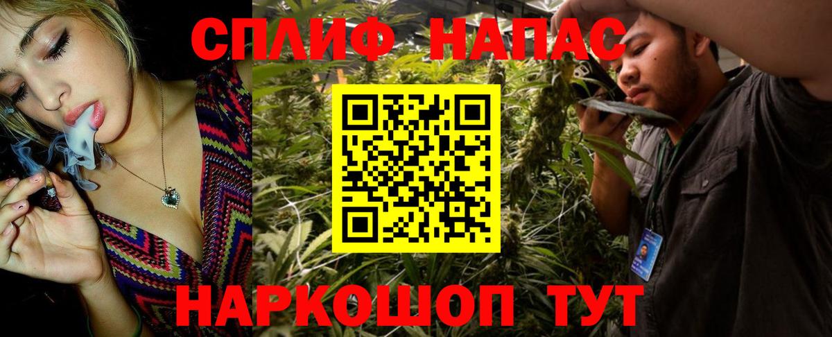 Марихуана ГИДРОПОН  Бошки марихуана план  Канабис SATIVA & INDICA  Сердобск 