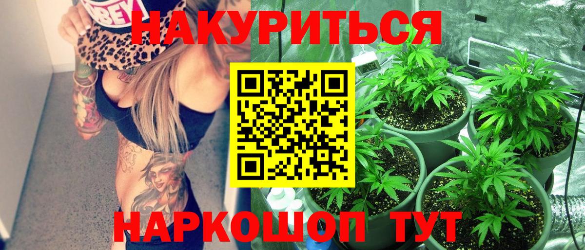 Бошки Шишки семена Сердобск